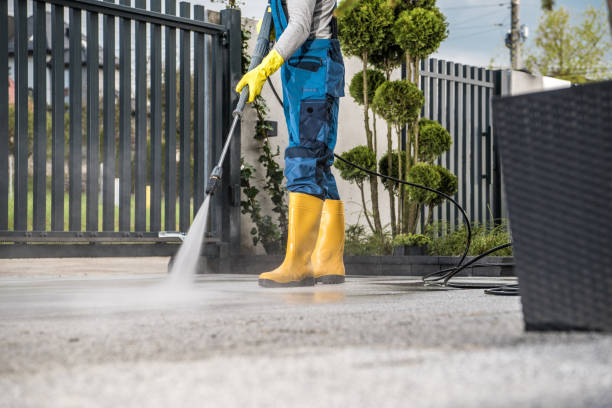 Best Roof Washing  in Buies Creek, NC